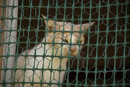 hinter-gittern1.jpg