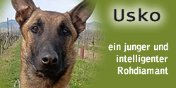 Usko