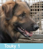 Touky