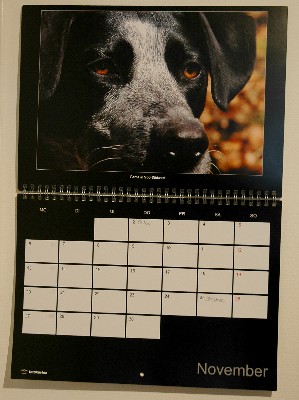 Der Smilla Kalender 