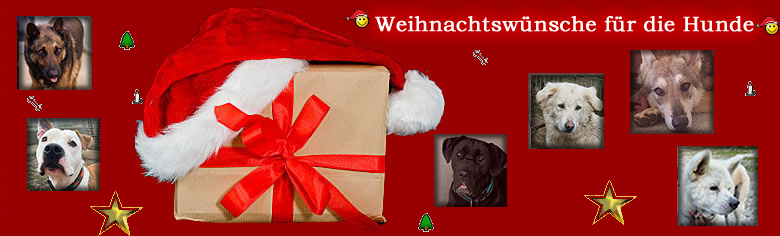 Weihnachtswünsche für die Hunde